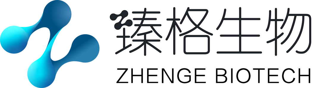臻格logo.png